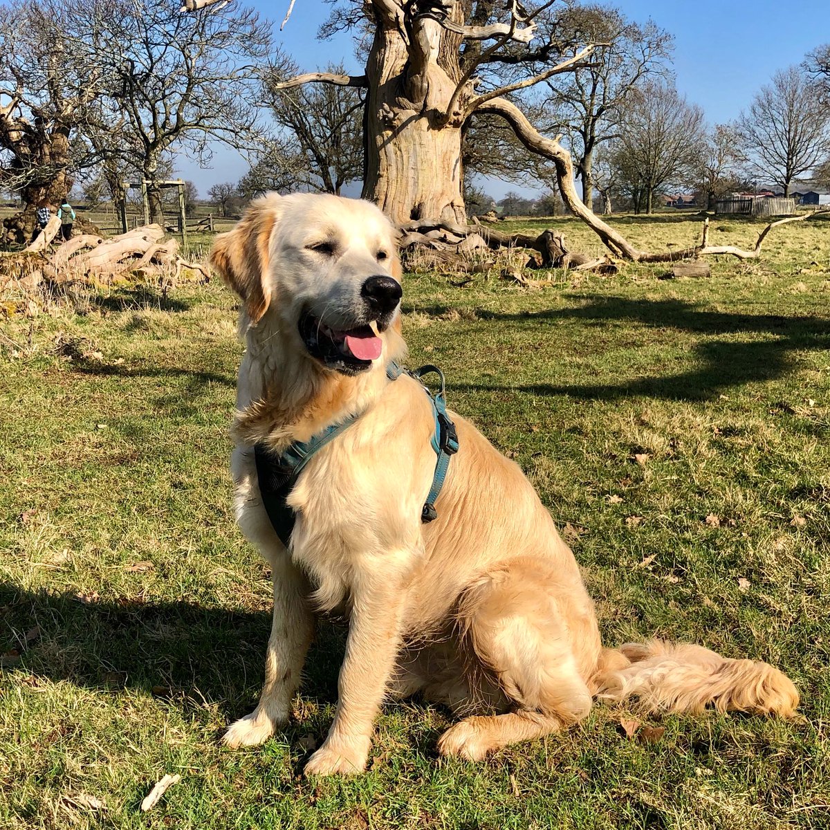 What an amazing day to get into the great outdoors!! Rory loved it 🥰