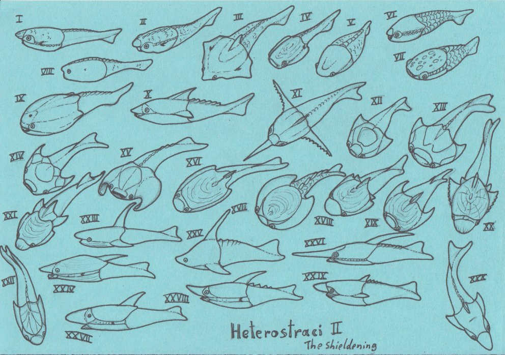 Cheetahtrout's tweet image. I did it! I finished the ancient jawless fish with the last heterostraci plate for this weeks #fishtime I hope this little divergence from my usual fishtime shed some light on the ancient diversity of these fish.