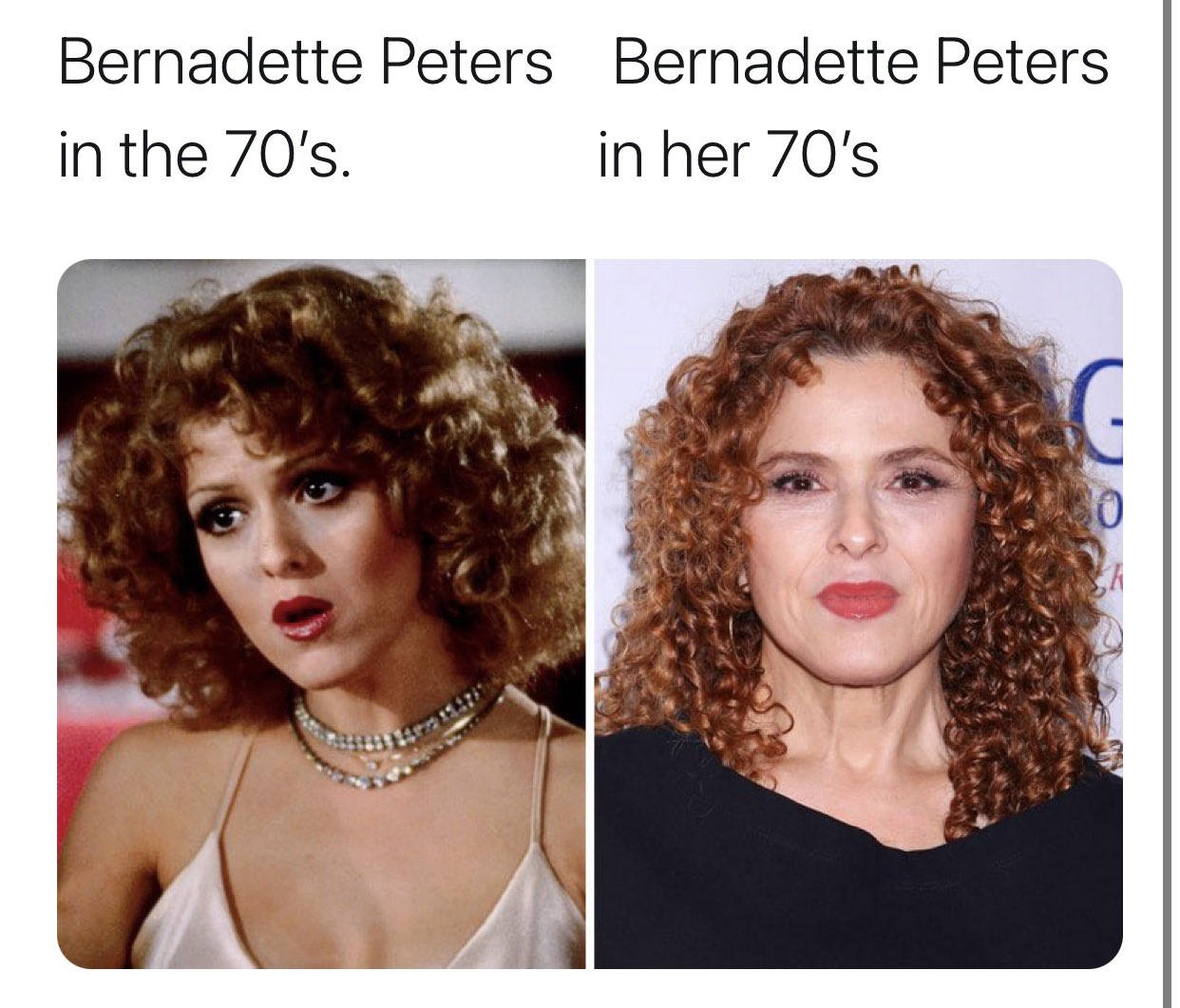 Happy Birthday Bernadette Peters!!! 