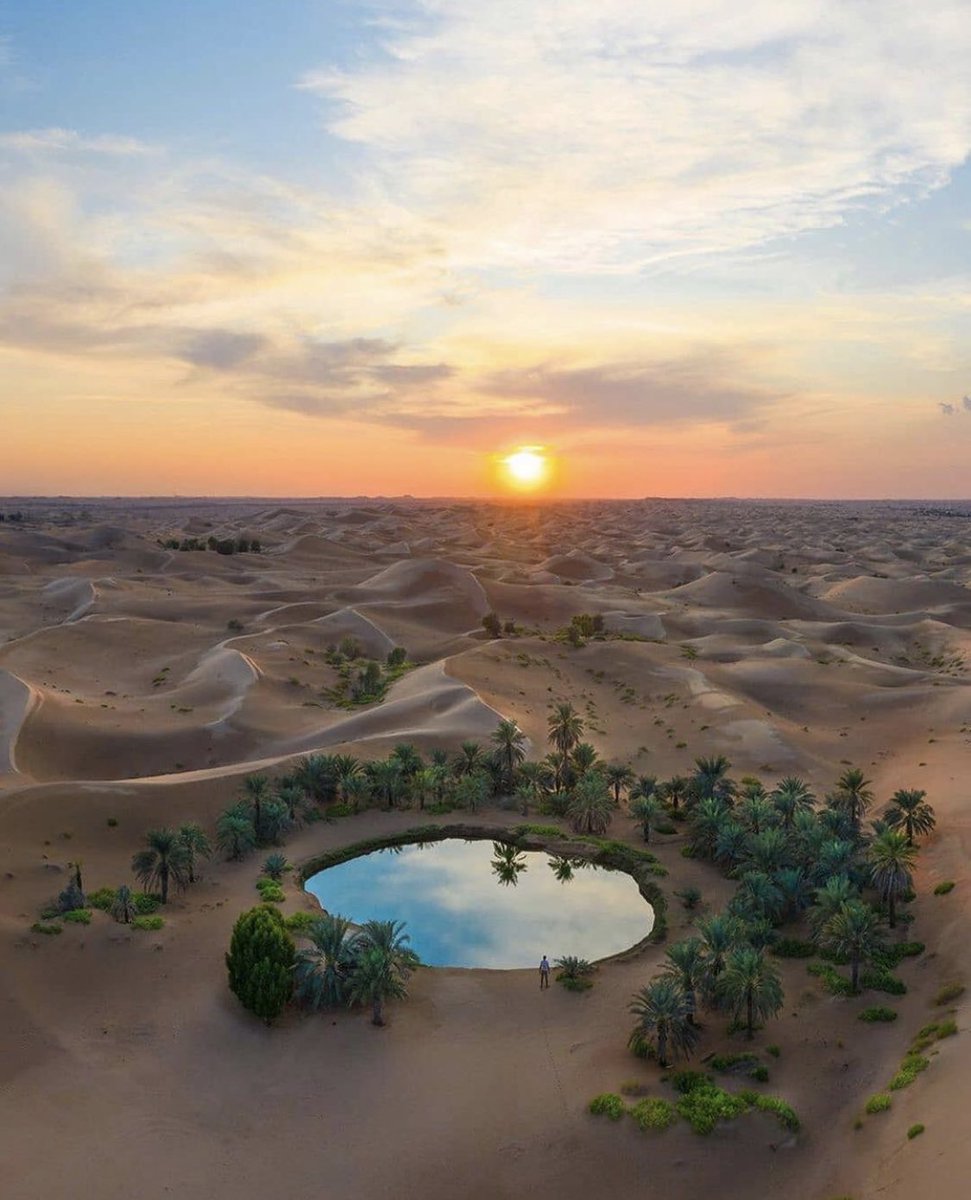 INTERIORPORN1's tweet image. Views from a Dubai desert 🏜