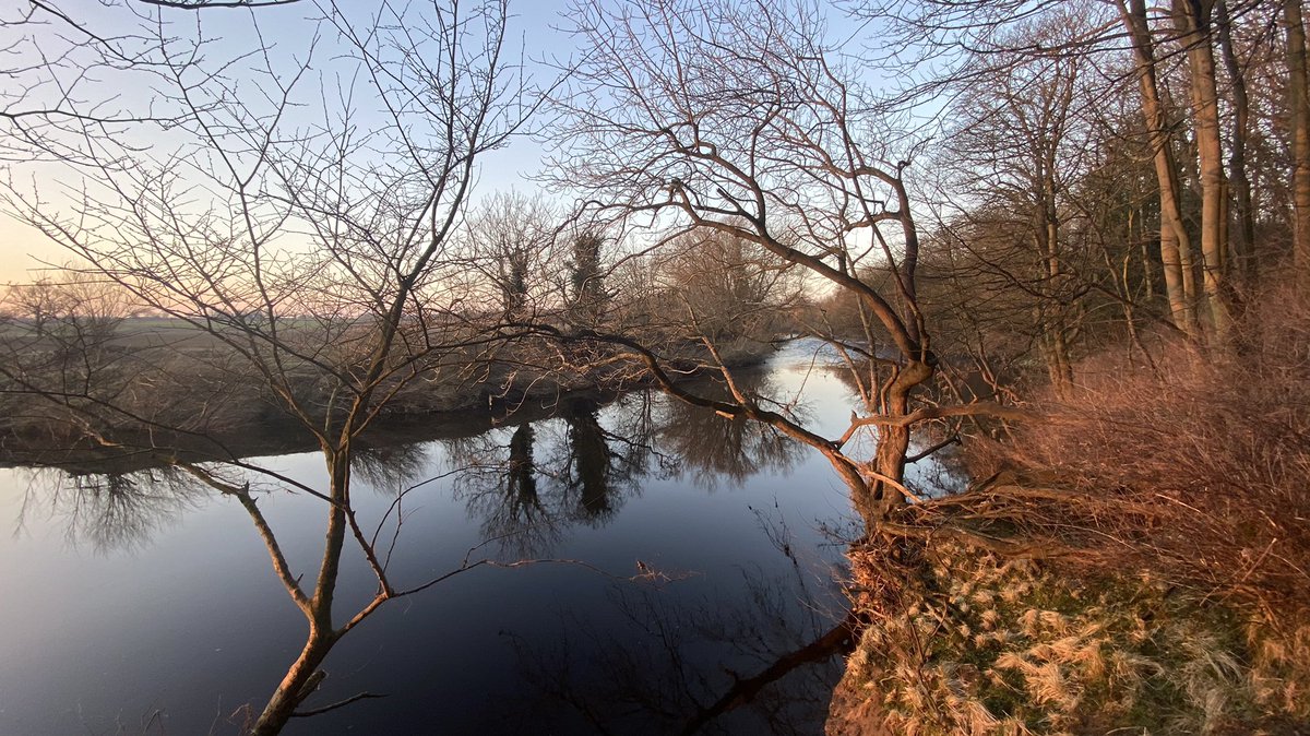 Colin Pinks tweet media