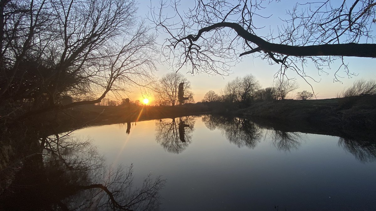 Colin Pinks tweet media