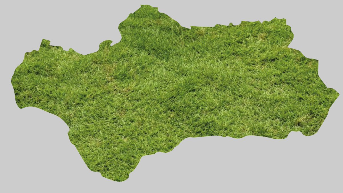 ¡Feliz día de Andalucía! ¡Feliz día Andaluces! 
Nuestra tierra llena de sudor y trabajo. 
¡Viva Andalucía!