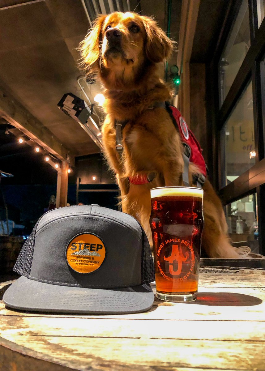 KeystoneSteep's tweet photo. Introducing a special collaboration beer with Steep and Angry James Brewing: “The Red Vested Hound.” 

This is an English Style Bitter, with a beautiful reddish, crystal clear color (5.6% abv). Named after this gorgeous dog, Tikka, who is an Avalanche Rescue dog over at ABasin! https://t.co/67Nbqyuii8
