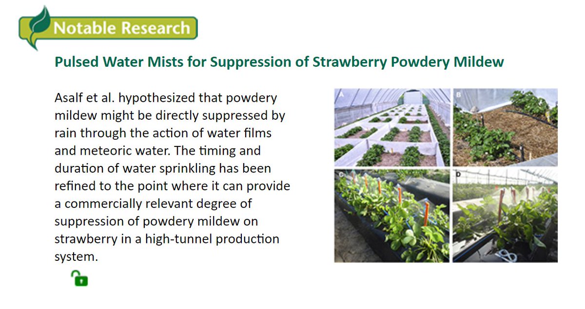 PlantDiseaseJ tweet picture