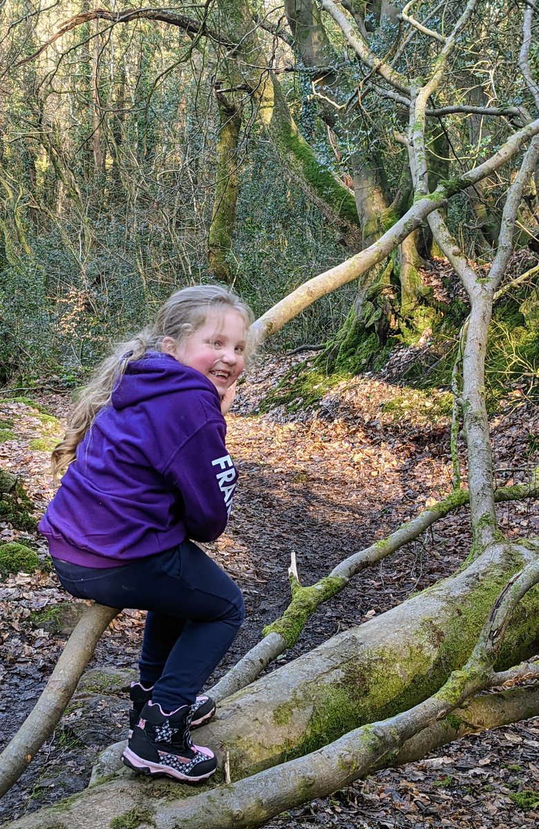 Alexis Bendon tweet media