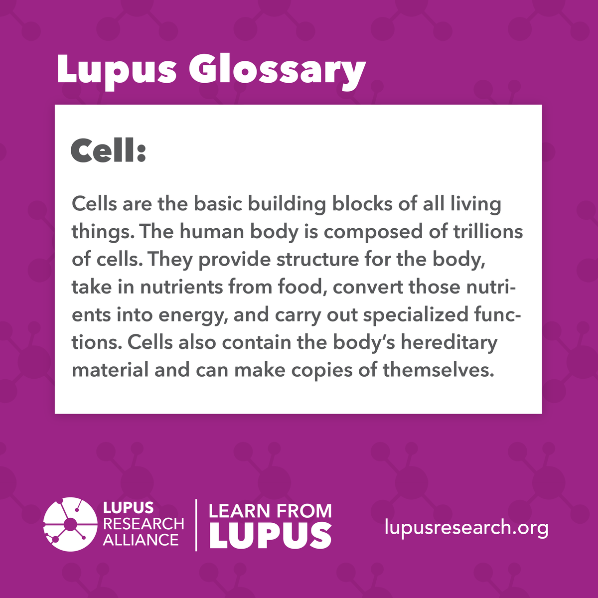 LupusResearch's tweet photo. When someone has lupus, the immune system can’t tell the difference between the body’s healthy cells and bacteria and viruses, so the antibodies attack the body’s healthy cells.
Learn more lupus-related terms visit: https://t.co/GNTvJTwLAA
#LupusGlossary #LearnFromLupus https://t.co/cl82IKLVSO