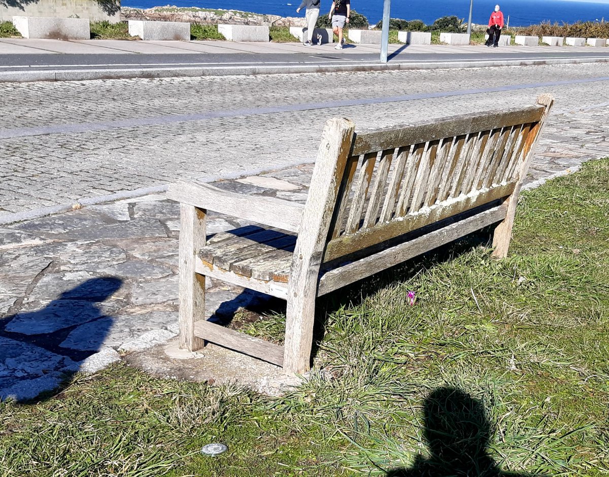 cocabito's tweet photo. en las pocas zonas accesibles en coche y con aparcamiento, donde después de que alguien las lleve hasta allí, puedan bajarse, dar un pequeño paseo, sentarse a respirar y  disfrutar de la inmensidad del mar, sin pelearse por horarios en los que ese UNICO banco esté libre https://t.co/IVqQPzAkVM