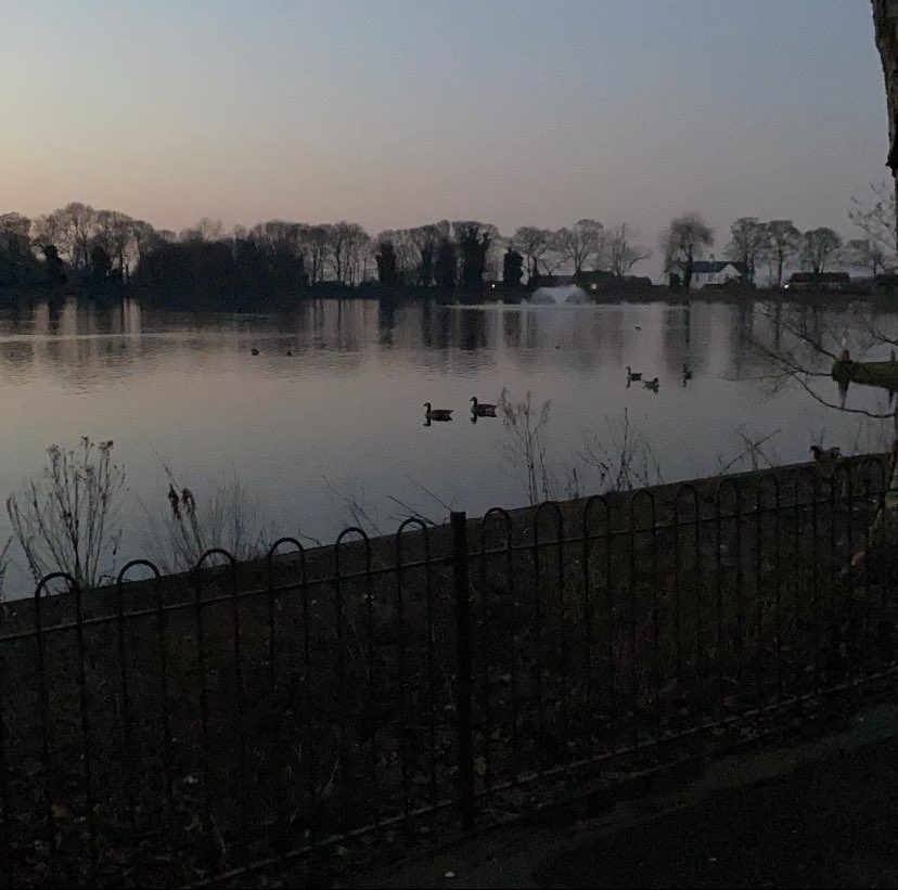 leeboyd25's tweet photo. little walk https://t.co/dmn8skUUV0