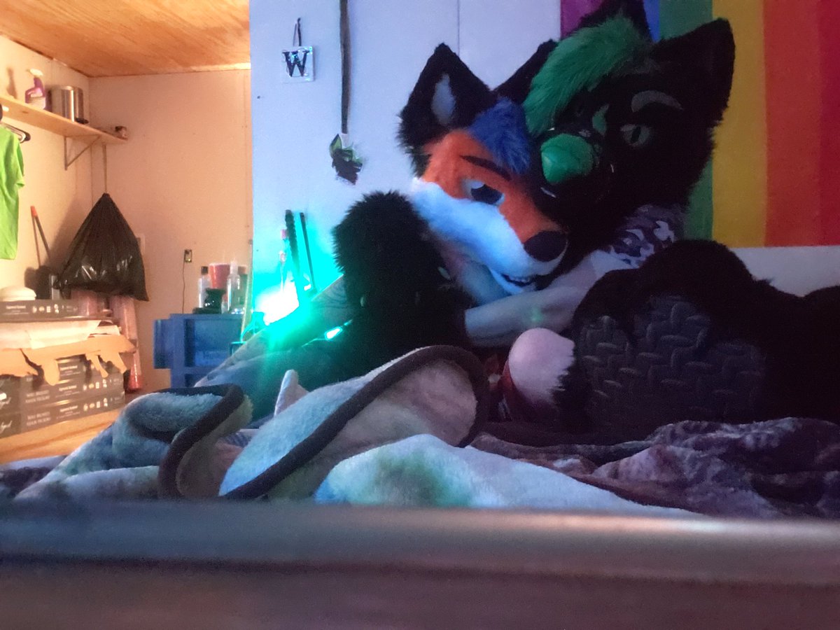 RusanHuskyAD's tweet photo. Had a great time hanging put with this good boyo ^^ https://t.co/J4lSxearY5