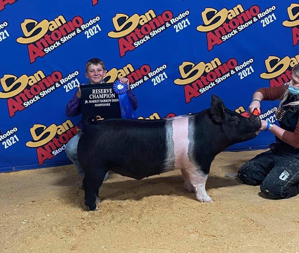 Reserve Champion Hampshire Barrow
Shown by Trevor Pichotta
Wags X 225k