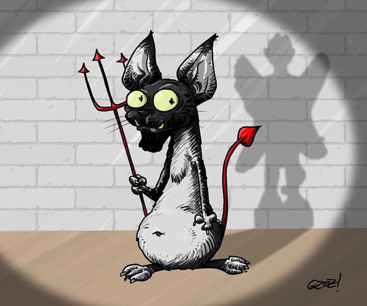 Il Grezza tweet media