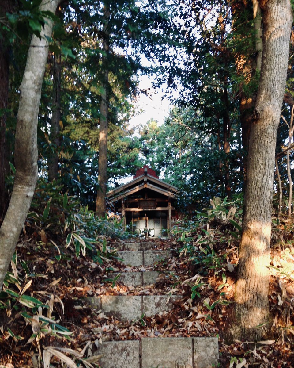 がもん鉄 田中俊行 ペガサス田中 丑の刻参りで有名な岡山 育霊神社の奥の院は未だに呪いの儀式が続いてるかの如く木に釘が残っていたりと恐ろしい場所ですが その昔悲運の死を遂げたお姫様と猫がおり境内に猫がいっぱいで可愛いのでプラマイ がもん鉄 田中俊行 ペガサス田中 丑の刻参りで有名な岡山 育霊神社の奥の院は未だに呪いの儀式が続いてるかの如く木に釘が残っていたりと恐ろしい場所ですが その昔悲運の死を遂げたお姫様と猫がおり境内に猫がいっぱいで可愛いのでプラマイ