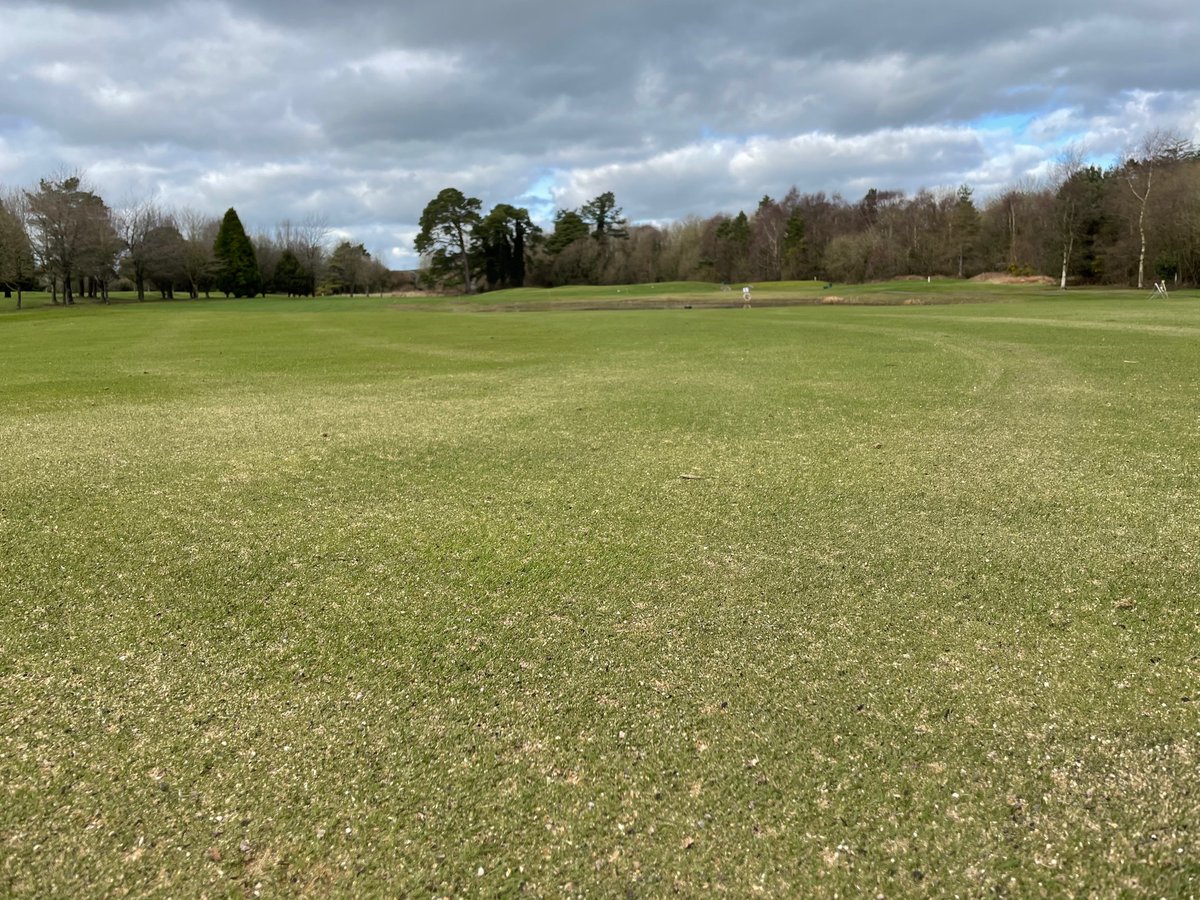 Roscreagolf's tweet photo. Essential maintenance work has been ongoing on our course since Christmas, Hopefully we won’t have to wait too much longer! https://t.co/dJpIL2Cy31