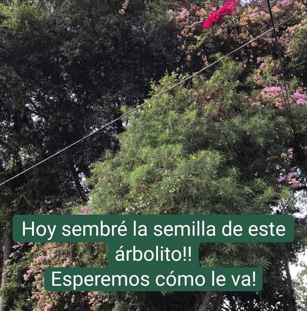 Silvana Zapata Bedoya EPI-SIG-DS on Twitter: Silvana Zapata Bedoya EPI-SIG-DS on Twitter:
