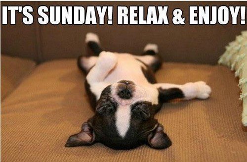 FrancineEmbanks's tweet photo. Hello everyone and Happy Sunday!!
Hope your all having a fantastic day. Xo 😃🧡 #haveagreatday #relax #ibeenslacking #imback https://t.co/B1Oe61h1k4