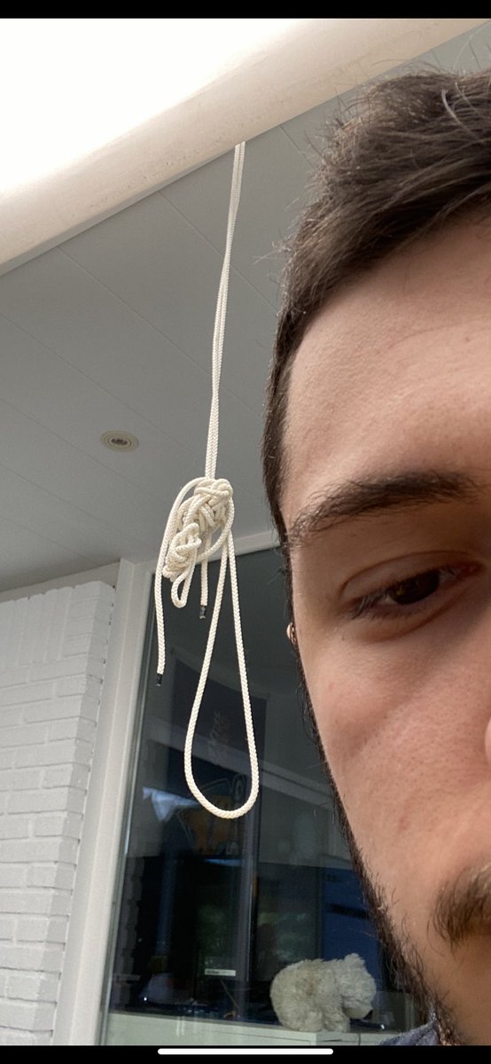 DAHVYS999 🐶 tweet media