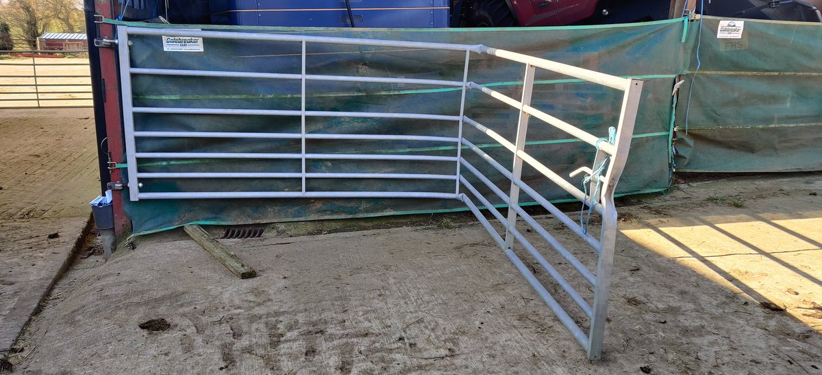 Mark Jelley tweet media