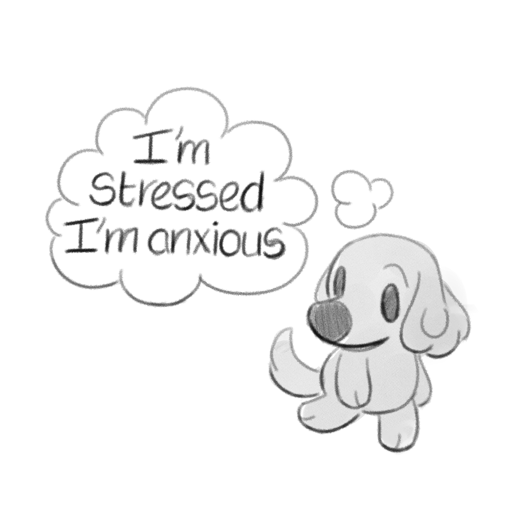 Getting self aware with your self awareness ?✨ 