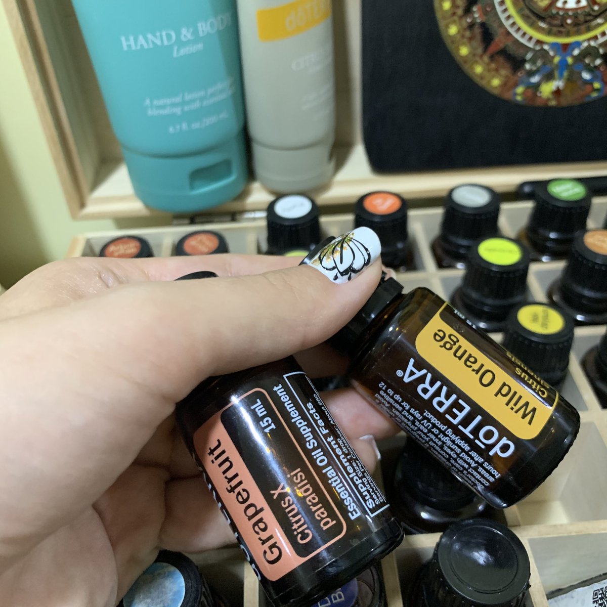 FOLHC's tweet image. Essential oils at #Home 🏡 is a must❗️We #educate our clients and students in more than 20 countries around the #globe 🌎 How to set up their individual home #health💚 kits with #pure #therapeutic grade essential oils 💎  #essentialoils #homekit #healthhomekit #immuneboosting