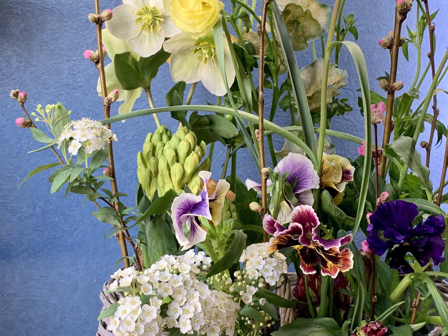 Glan Fabrique 予約〆切 3 2です 花勝 花のワークショップ Vol 17 球根の花 春の切り花のアレンジメントをつくる T Co Grttpxyudq T Co Ri3rm9qo77 Twitter