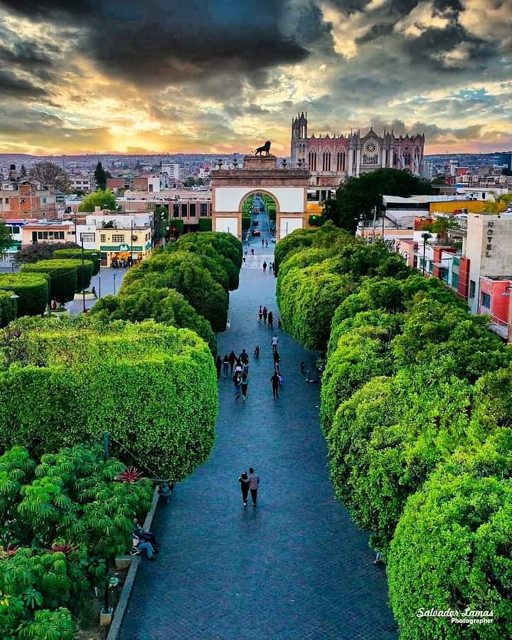 OCV LEON tweet media