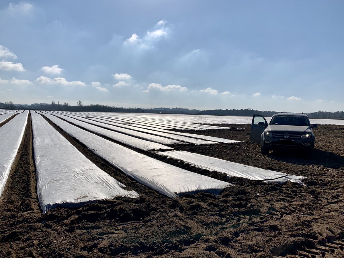 🥕Early carrots 🥕✅ <a href="/Fendt_UKIreland/">Fendt UK & Ireland</a>