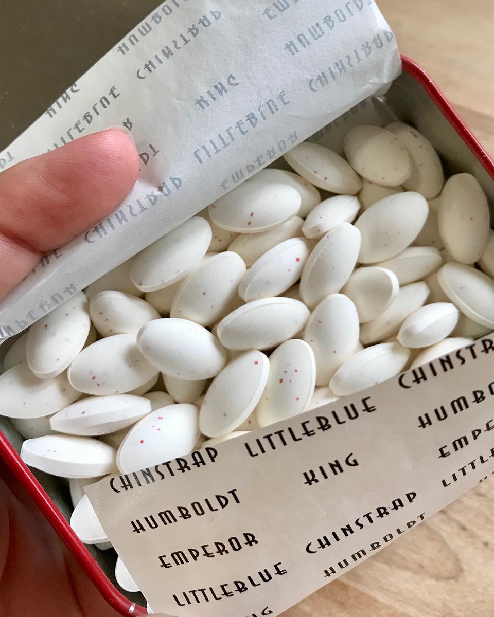 theplaincheese's tweet photo. Found these old candy tins (one unopened!) while rummaging through some boxes. From 15+ years ago, I think? Why don’t more candies come in tins these days? 🍒🍏🐧 #altoids #altoidsgum #altoidssourchewinggum #penguinmints #candytin #vintagecandy https://t.co/qhCftMCAzY https://t.co/RBUvvSEKd2