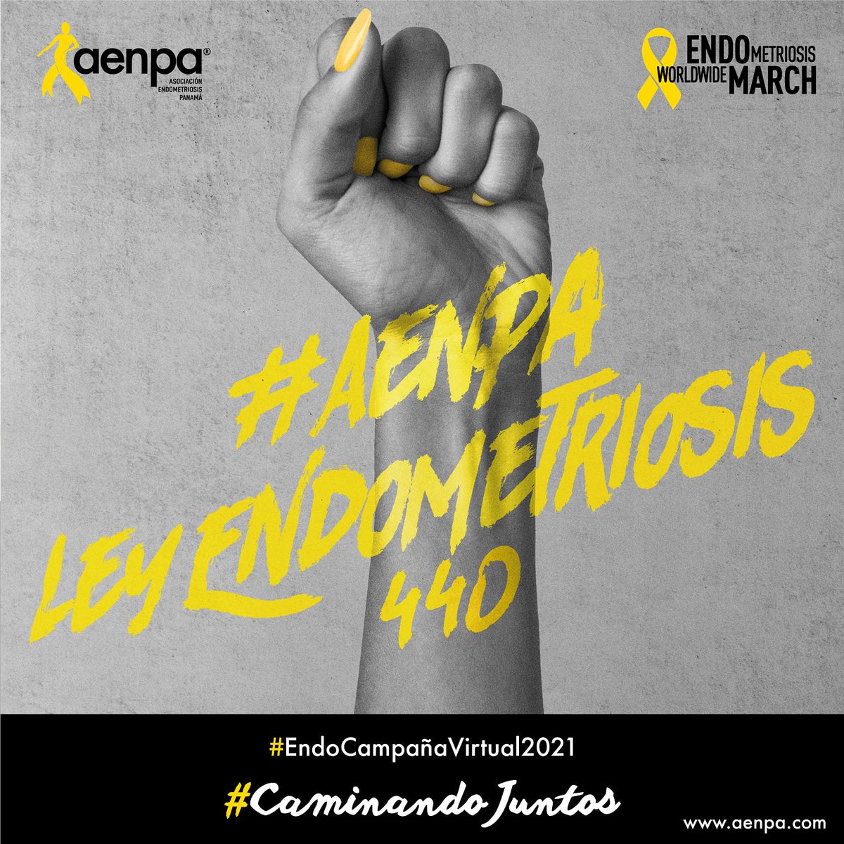 EndometriosisPA's tweet photo. Sr. Pdte. @NitoCortizo solicitamos #SanciónProyectoLey440 su objetivo es el tratamiento médico-quirúrgico, psicológico y participativo de las mujeres que la padecen y sus familiares, para así mejorar su salud y calidad de vida. #LeyEndometriosisPanamá @yazcortizo @ccortizo https://t.co/jbmEiONWBO