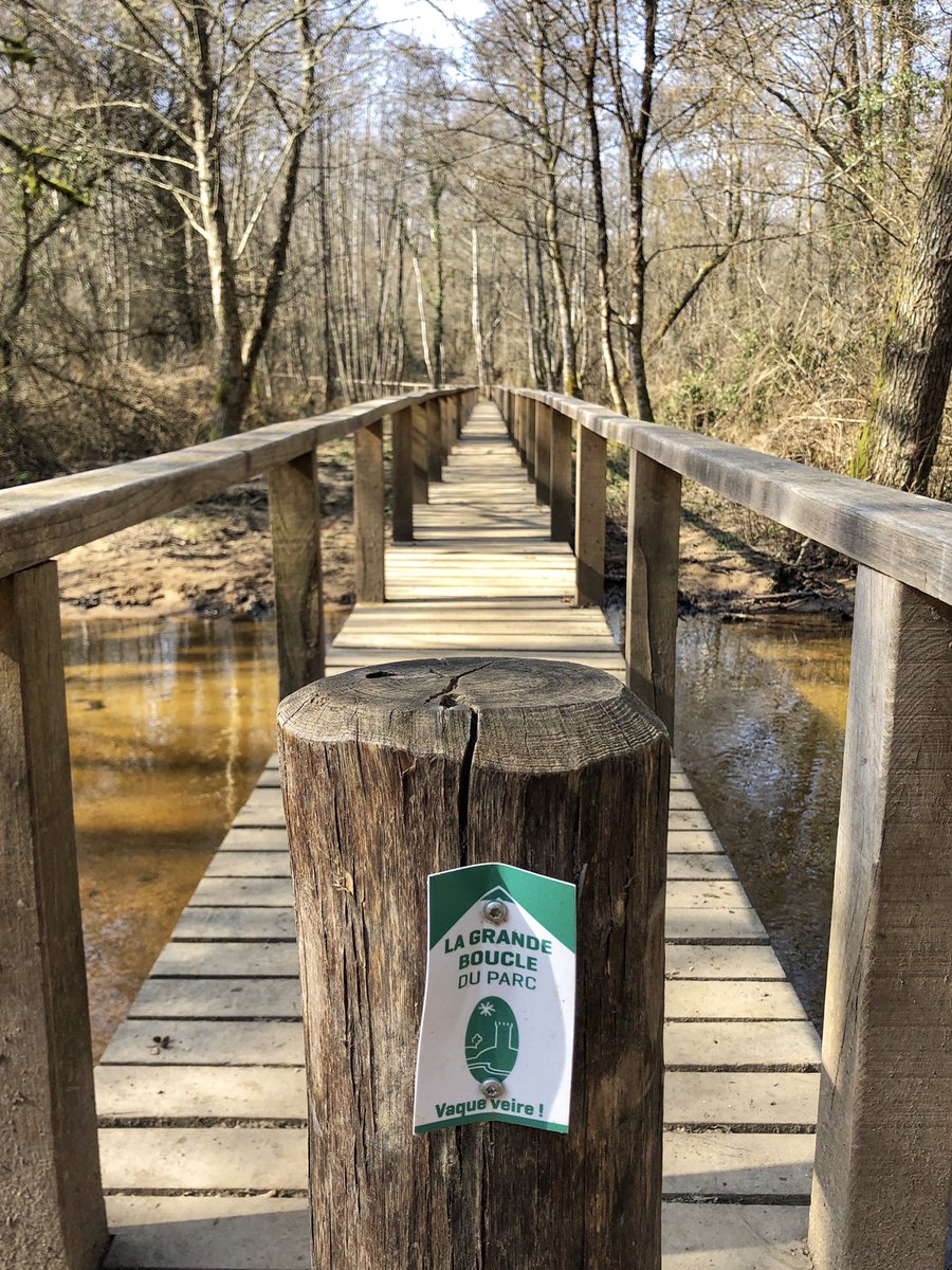 _NatLy_'s tweet photo. Tèrra aventura du week-end
#Chalucet #LaRocheLAbeille #Courbefy #SaintPierredeFrugie #TerraAventura #geocaching https://t.co/t0XI9wOXk8