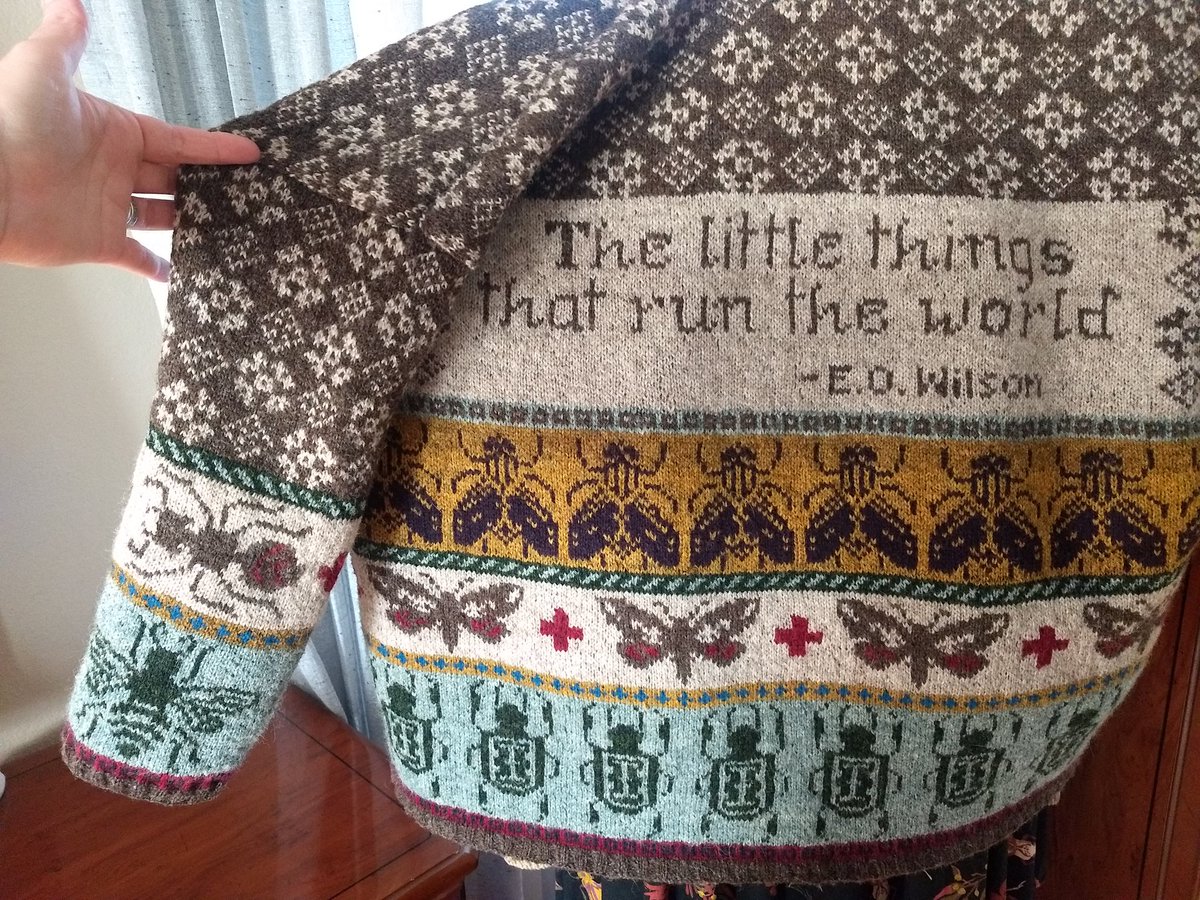 Tierney Brosius, PhD tweet media