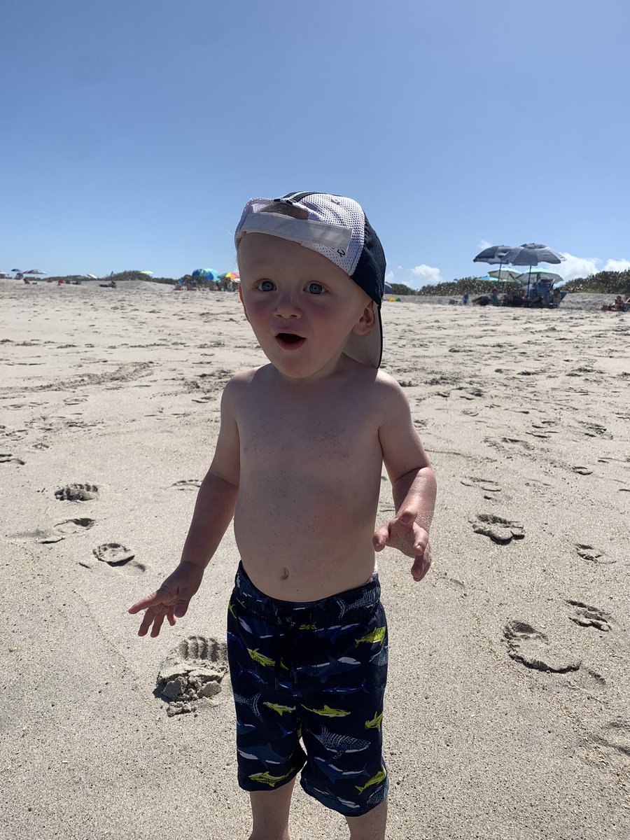 s0phiaaaaaa's tweet photo. Cutest beach bum around https://t.co/3JWPUEoThP
