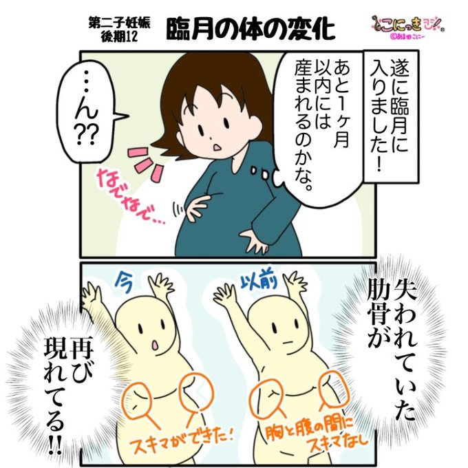 こにーの第二子妊娠生活 のイラスト マンガ作品 6 件 Twoucan