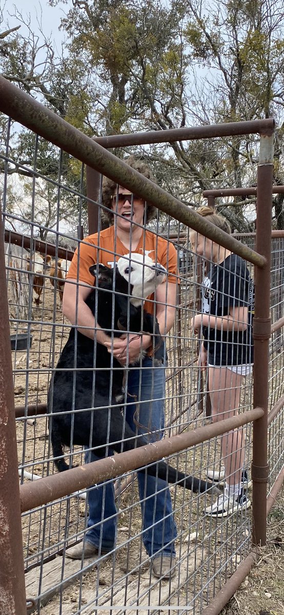 David Powell tweet media