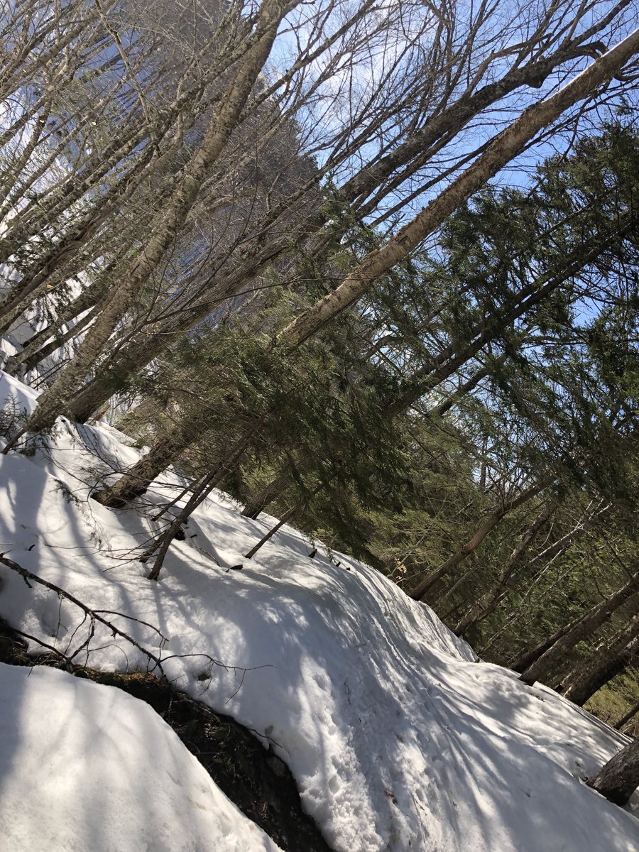 Another great weekend enjoying winter in #Halifax #snowshoeing ☀️❄️