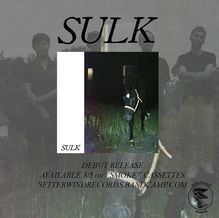 sulkmi's tweet photo. Sulk will be available on cassettes via @setterwindrecs on Friday 3/5. Shirts to follow shortly. More music and other news soon. Thank you. https://t.co/556U0Y3Qvr