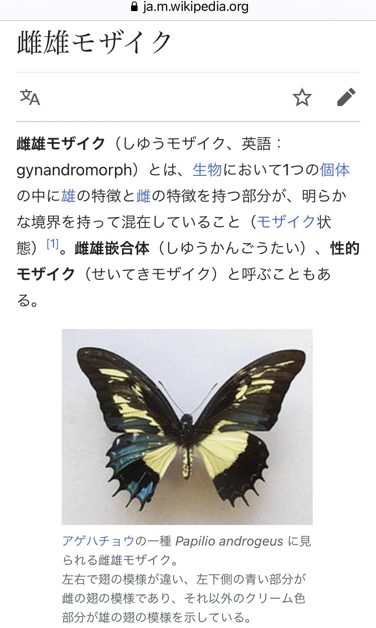 おーり 妹が美術の時間に染め絵の課題で蝶を染めたら 先生が蝶はシンメトリーであると作品を否定されて帰ってから妹はそれをゴミ箱に捨てていて 私はそれを見つけて綺麗なので妹に聞いて貰ったんだけど 実際にはアシンメトリーの蝶は存在するとさっき知っ