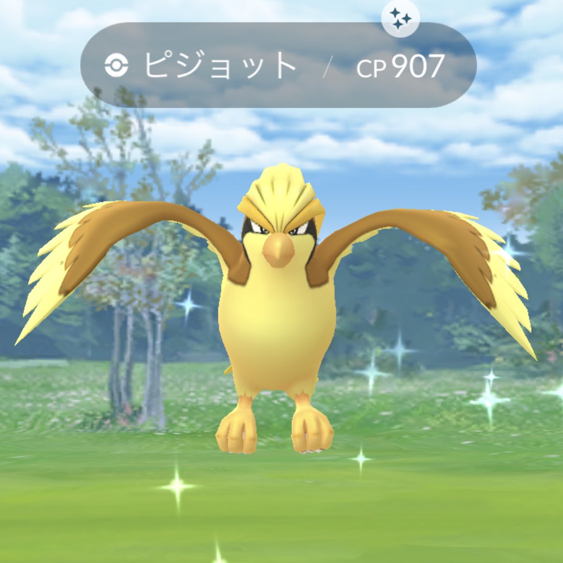 トレーディ ピジョット Tou6d M ポケモン らくらくメ Www Chicken Tj