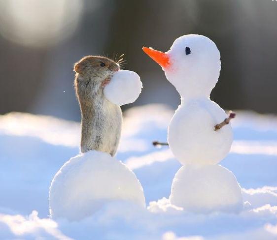 MARY_ESMAEELI's tweet photo. 🐿
Sometimes you will never know the value of a moment, until it becomes a memory. 
#mondaythoughts
#nature https://t.co/0npB4gr1a0