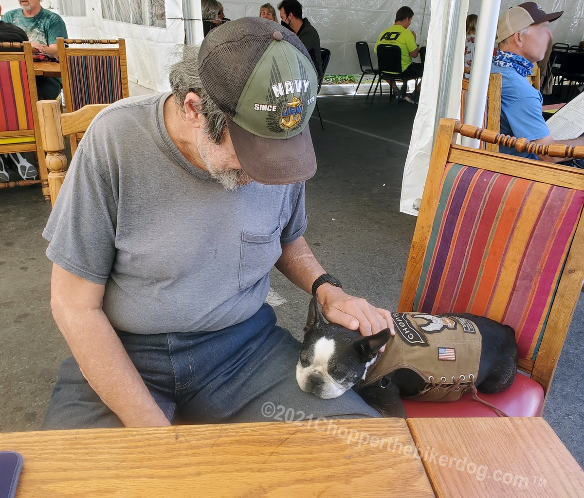 ChopperBikerDog's tweet photo. I was so excited to meet one of my fans / supports 4 Brunch today at the @HaciendaCasaBla Mexican Resturant. Thank you SO MUCH for driving 1 hr just to meet me, your much appreciated generosity, your support and most of all, Thank you for your service Sir. #MyHero #ChopperStrong https://t.co/yApgM5rfua