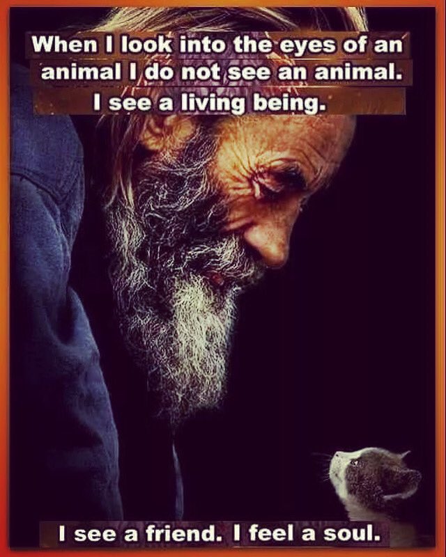 improvguy11's tweet image. #animalsarepure #animalsarespiritual #animalsarethebest