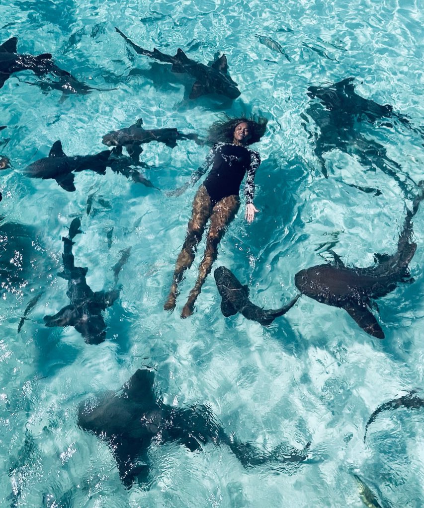 ciara's tweet photo. Takes One To Know One. 🦈❤️ https://t.co/NEBtAIlIUL