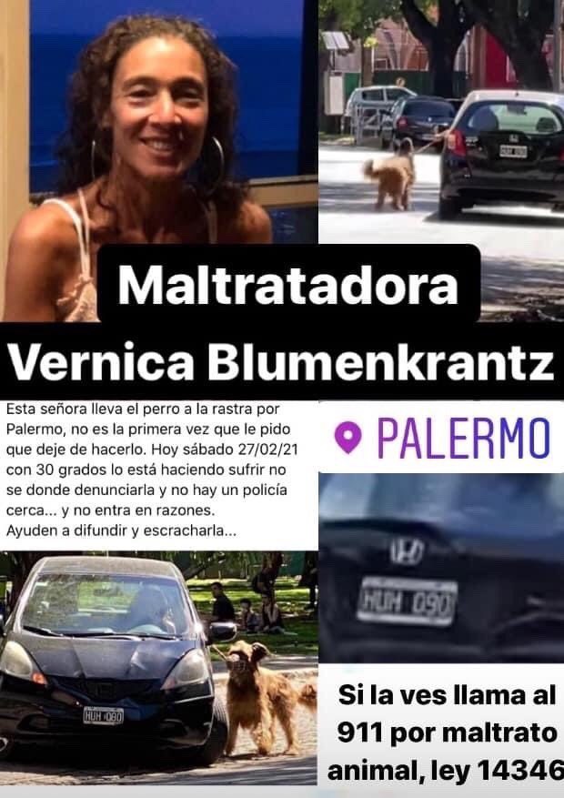 ftorrente's tweet photo. Hola veronica, si no queres a tu animal dáselo a alguien que le pueda dar el amor que claramente vos no le estas dando . https://t.co/49ijpf2dmD