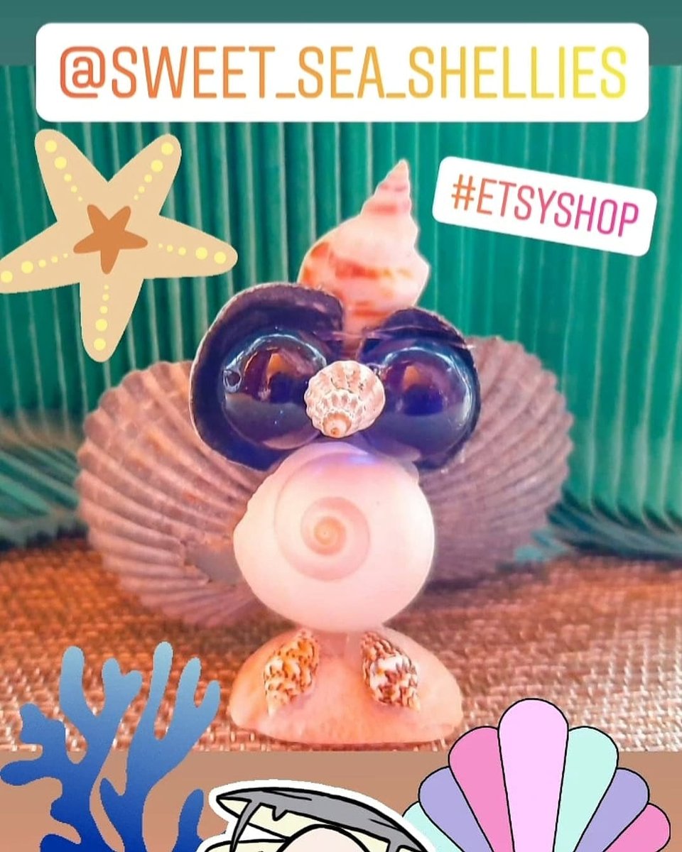 ShelliesSea's tweet photo. Hey friends! Just added Curious Shellie to my Etsy listings! Check the link in my bio!! 🐚💜#sweetseashellies #Sweet_sea_shellies #shells #owl #smallbusiness #shells #shellart #knickknacks #Etsyshop #beach #shelldecor #beachdecor #decor #ocean #seashore #crafts #homemade https://t.co/27vSWp2hU5