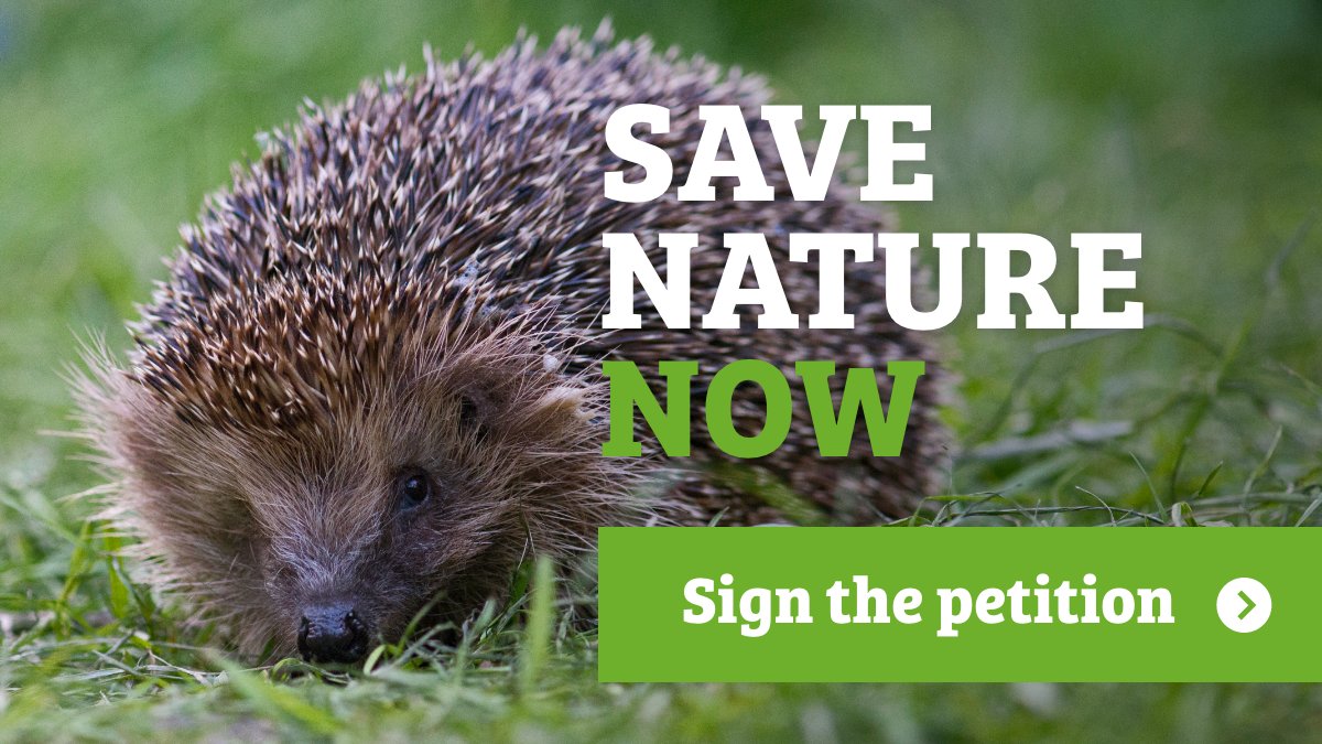 WildlifeTrusts's tweet image. 🌱Nature needs our help🦔
We all want our environment to be in a better state, but half of UK species are in long-term decline now! Let’s persuade the PM to put the weight of the law behind promises to protect our #StateofNature 👇 
wtru.st/state-of-natur…