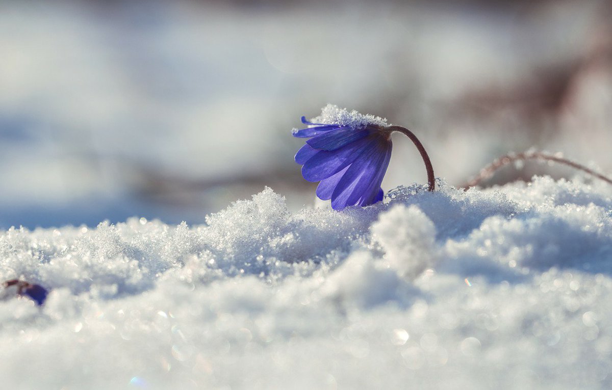 Happy spring everyone! 😇🌷Sparkling feelings and good luck in everything!✨🌺🌸🎆