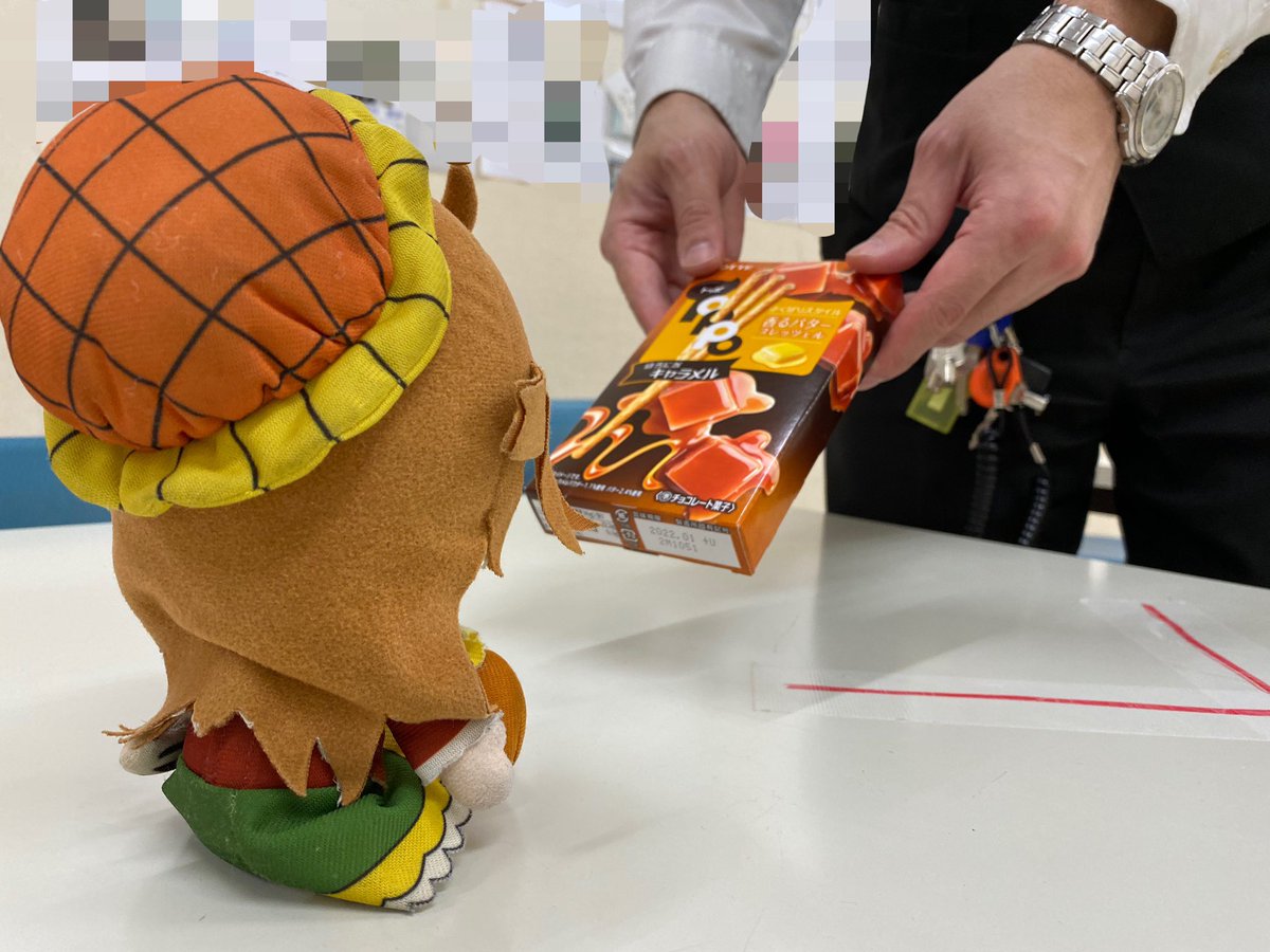 苫小牧ひまわり 苫小牧ひまわり