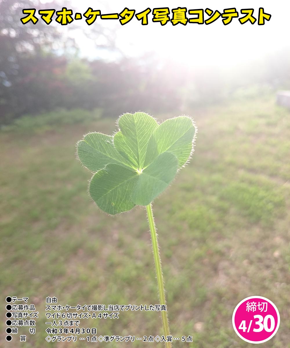 松沢カメラ V Twitter スマホ ケータイ写真コンテスト 作品募集中 締切りは4月30日 ぜひご応募ください 詳しくは当店まで 写真 コンテスト フォトコンテスト フォトコン 飯田市 飯田下伊那 下伊那 伊那谷 南信州 南信 信州 長野県 下伊那郡 スマホ 松沢カメラ V Twitter スマホ ケータイ写真コンテスト 作品募集中 締切りは4月30日 ぜひご応募ください 詳しくは当店まで 写真 コンテスト フォトコンテスト フォトコン 飯田市 飯田下伊那 下伊那 伊那谷 南信州 南信 信州 長野県 下伊那郡 スマホ