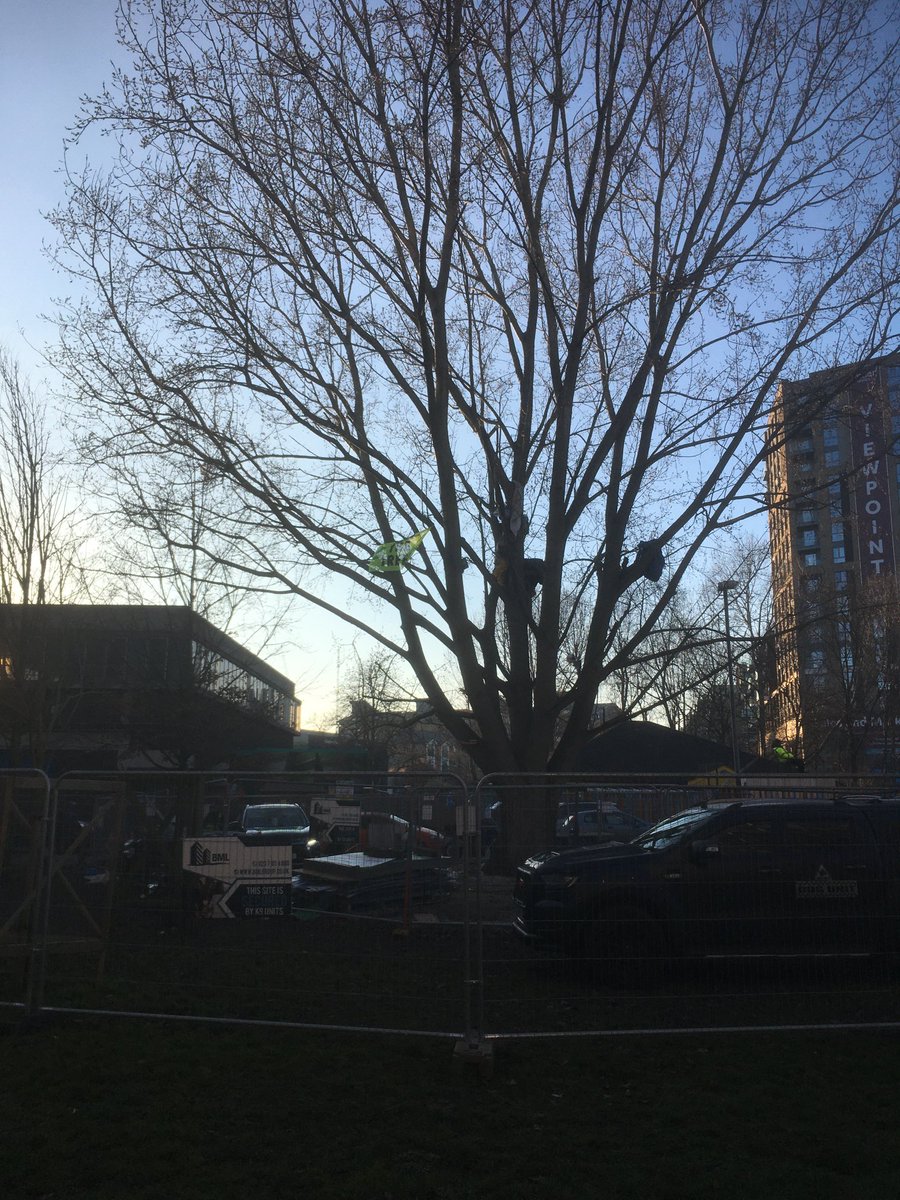 Jct in support of the eco warriors, save our trees. #yorkgardens #justcometogether