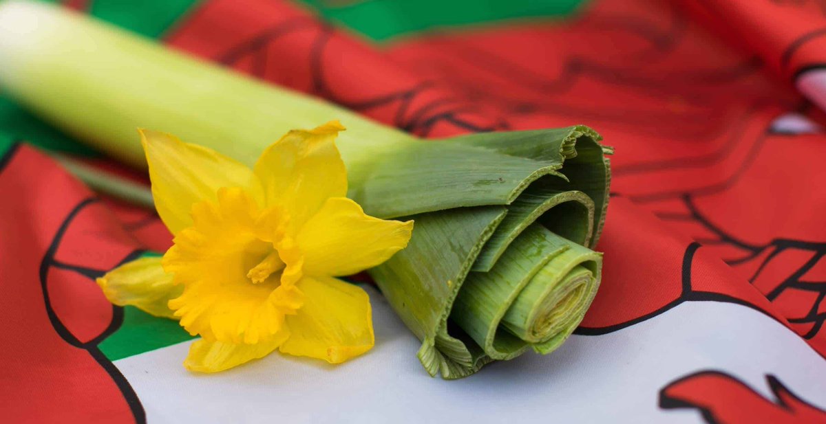 Happy St David's Day! I'll open @BBCRadio3 Breakfast with harp music by William Mathias very soon - plus a Romance by Stenhammer and a motet by Binchois. Join us!